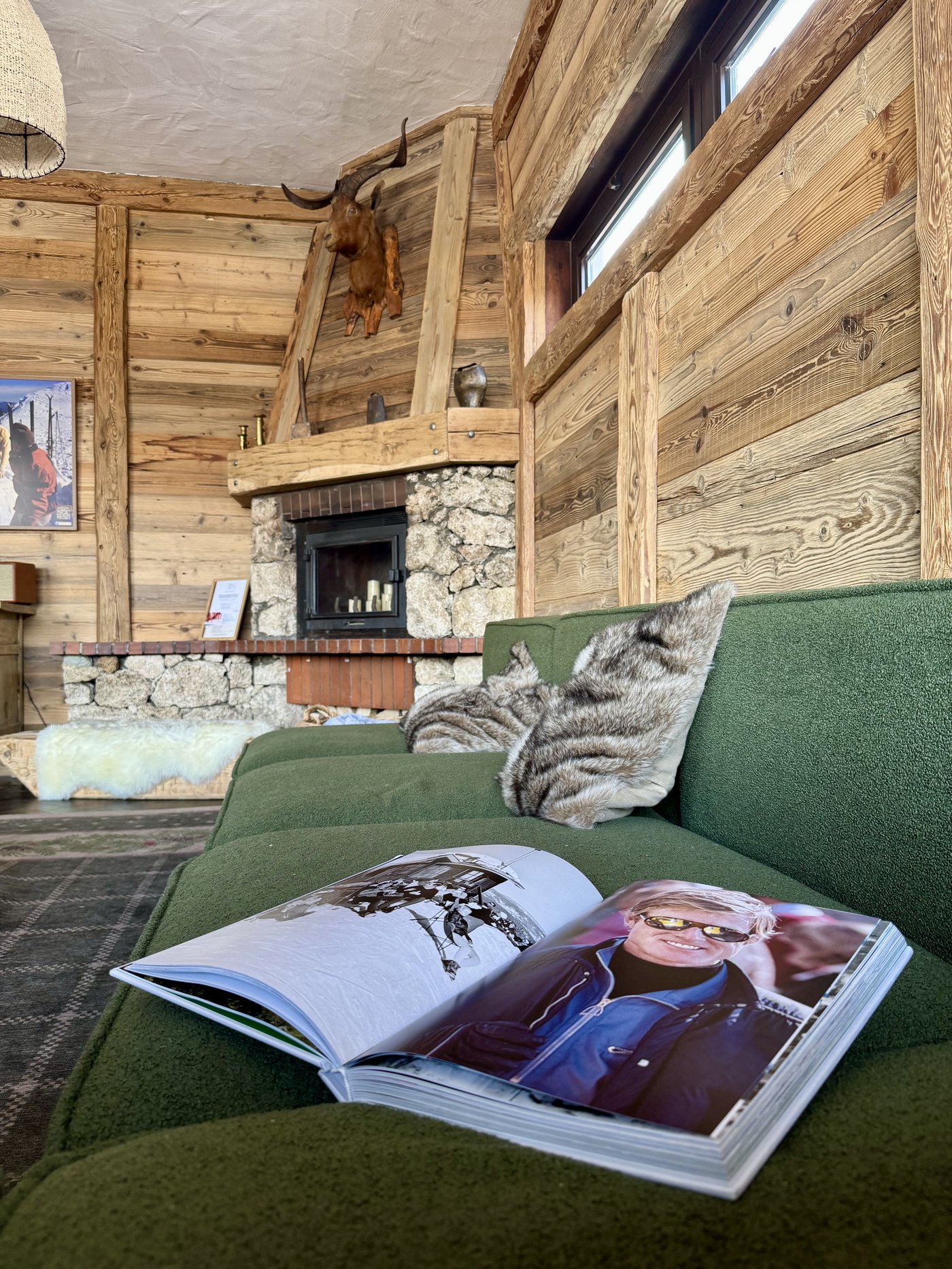 Salon avec livre et cheminée en pierre